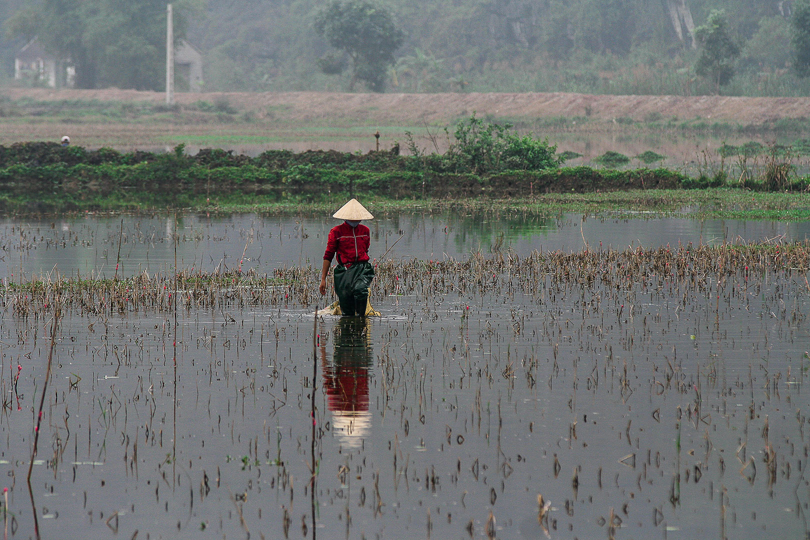 Vietnam photo 11